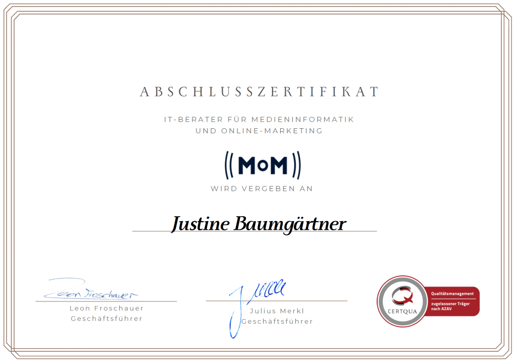 MoM - IT-Berater für Medieninformatik